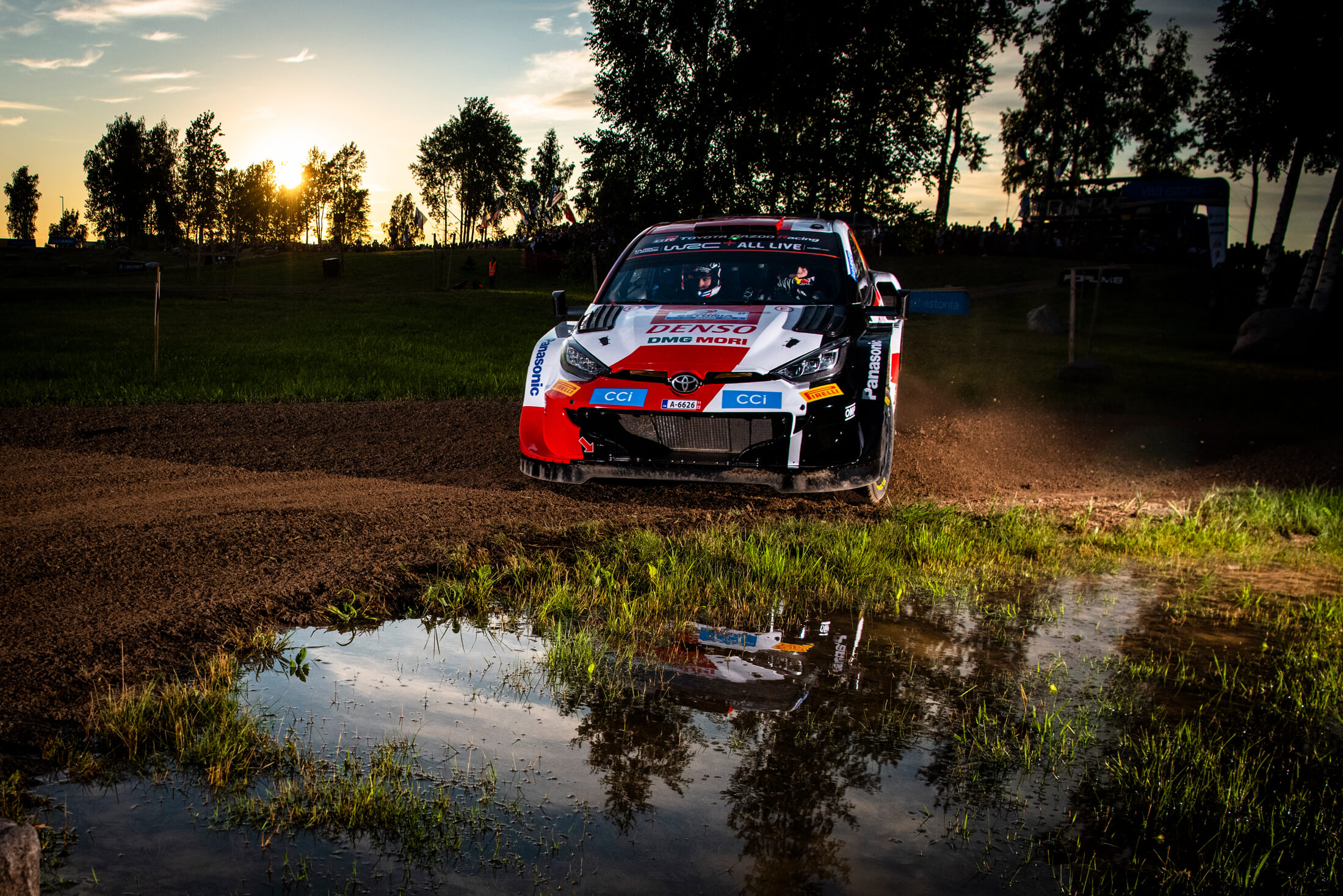 Lupinus_WRC Rally Estonia Rallimatka Viron ralli Jaanus Ree