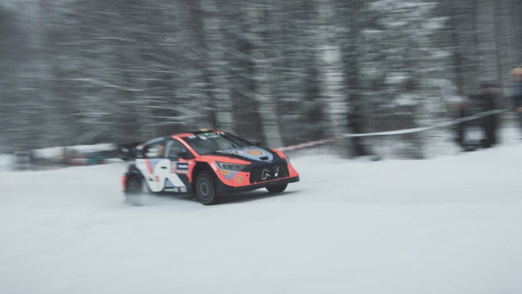 Lupinus WRC Puola 2024